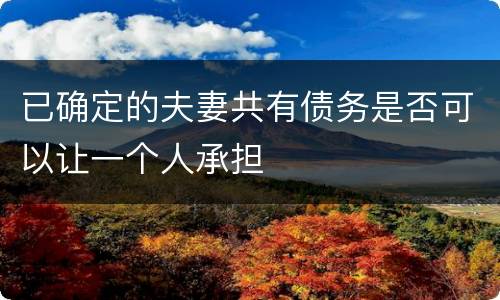 已确定的夫妻共有债务是否可以让一个人承担