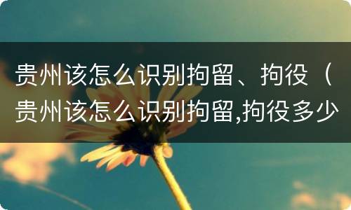 贵州该怎么识别拘留、拘役（贵州该怎么识别拘留,拘役多少天）