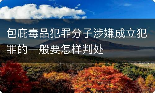 包庇毒品犯罪分子涉嫌成立犯罪的一般要怎样判处