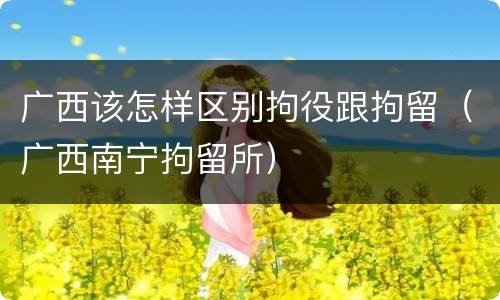 广西该怎样区别拘役跟拘留（广西南宁拘留所）