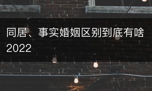 同居、事实婚姻区别到底有啥2022