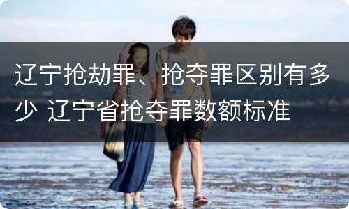 辽宁抢劫罪、抢夺罪区别有多少 辽宁省抢夺罪数额标准