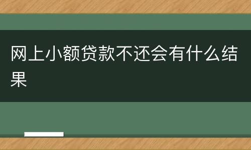网上小额贷款不还会有什么结果