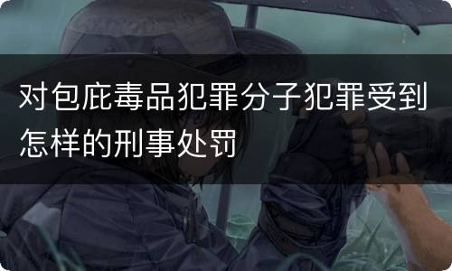 对包庇毒品犯罪分子犯罪受到怎样的刑事处罚