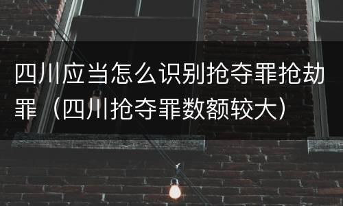 四川应当怎么识别抢夺罪抢劫罪（四川抢夺罪数额较大）
