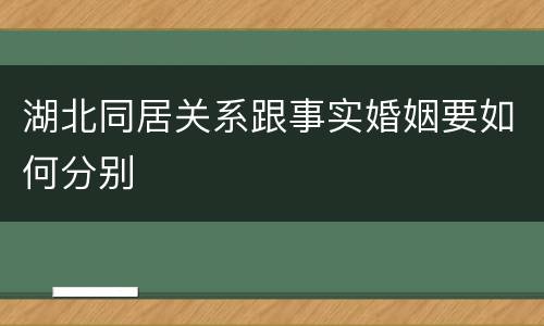 湖北同居关系跟事实婚姻要如何分别