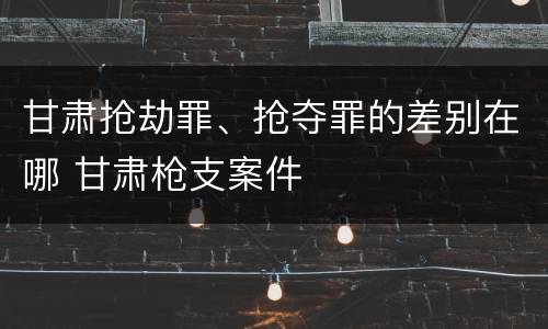 甘肃抢劫罪、抢夺罪的差别在哪 甘肃枪支案件
