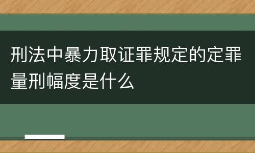 刑法中暴力取证罪规定的定罪量刑幅度是什么