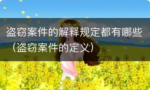 盗窃案件的解释规定都有哪些（盗窃案件的定义）