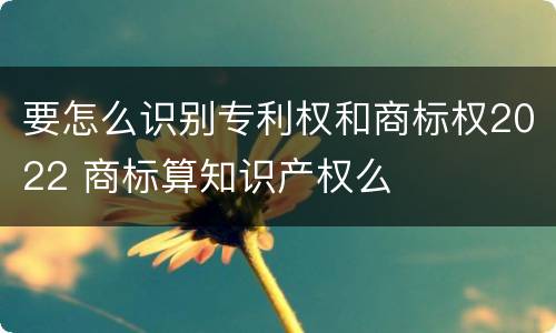 要怎么识别专利权和商标权2022 商标算知识产权么