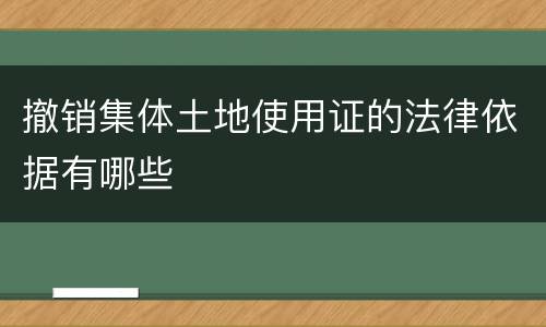 撤销集体土地使用证的法律依据有哪些