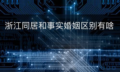 浙江同居和事实婚姻区别有啥