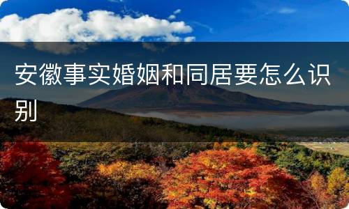 安徽事实婚姻和同居要怎么识别