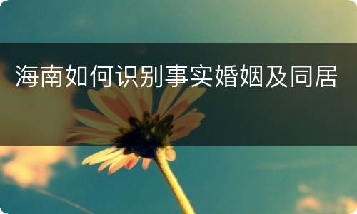海南如何识别事实婚姻及同居