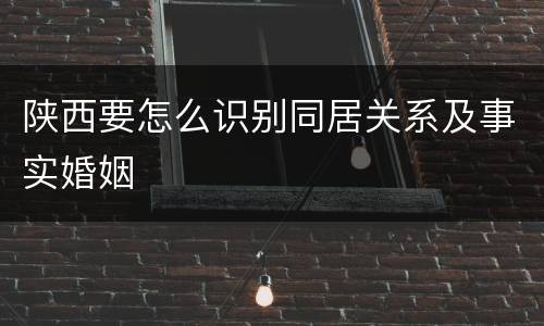 陕西要怎么识别同居关系及事实婚姻