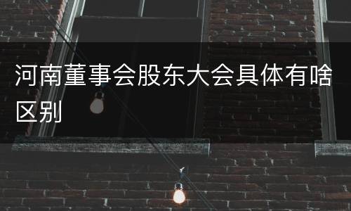 河南董事会股东大会具体有啥区别