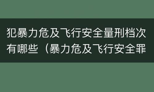 犯暴力危及飞行安全量刑档次有哪些（暴力危及飞行安全罪是危险犯吗）