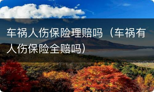 车祸人伤保险理赔吗（车祸有人伤保险全赔吗）