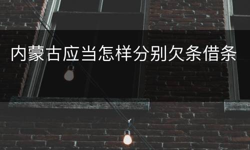 内蒙古应当怎样分别欠条借条