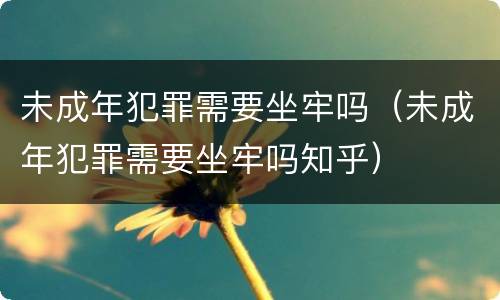 未成年犯罪需要坐牢吗（未成年犯罪需要坐牢吗知乎）