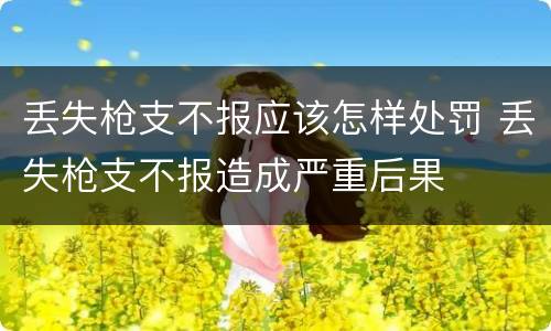 丢失枪支不报应该怎样处罚 丢失枪支不报造成严重后果
