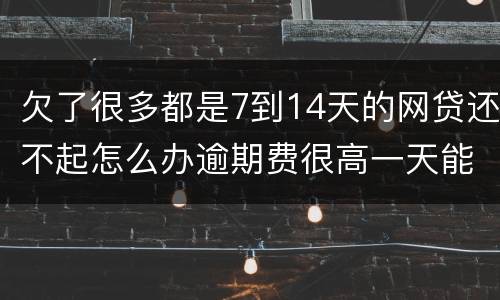 欠了很多都是7到14天的网贷还不起怎么办逾期费很高一天能张几百