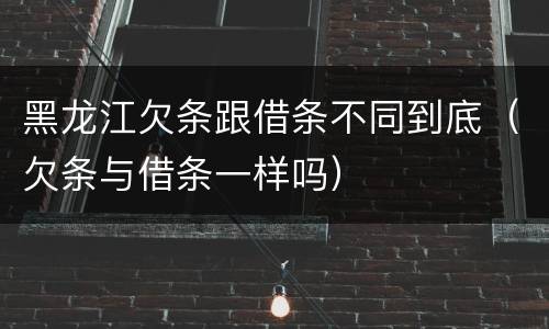 黑龙江欠条跟借条不同到底（欠条与借条一样吗）
