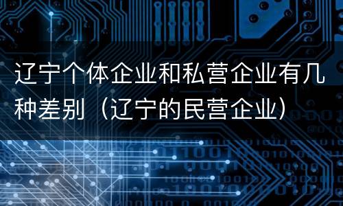 辽宁个体企业和私营企业有几种差别（辽宁的民营企业）