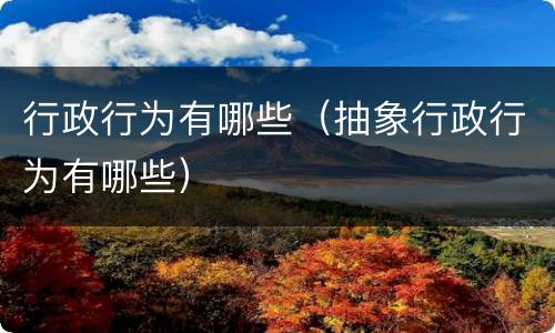 行政行为有哪些（抽象行政行为有哪些）