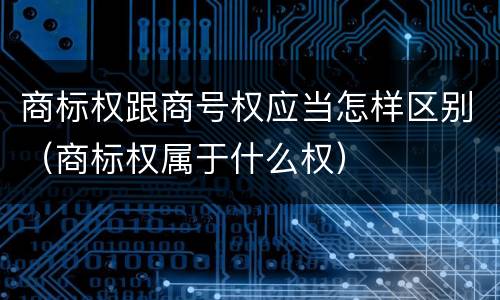 商标权跟商号权应当怎样区别（商标权属于什么权）