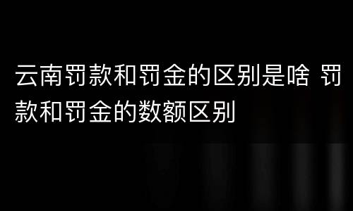 云南罚款和罚金的区别是啥 罚款和罚金的数额区别