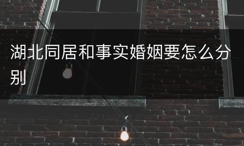 湖北同居和事实婚姻要怎么分别