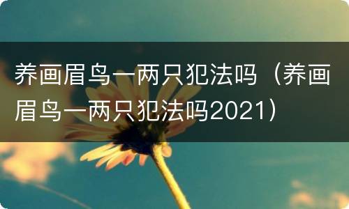 养画眉鸟一两只犯法吗（养画眉鸟一两只犯法吗2021）