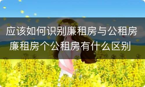 应该如何识别廉租房与公租房 廉租房个公租房有什么区别