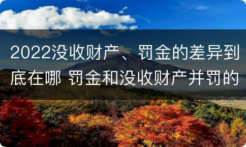 2022没收财产、罚金的差异到底在哪 罚金和没收财产并罚的执行顺序