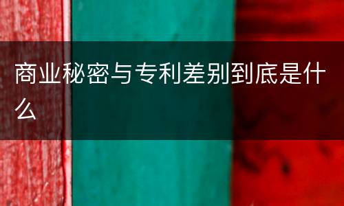 商业秘密与专利差别到底是什么