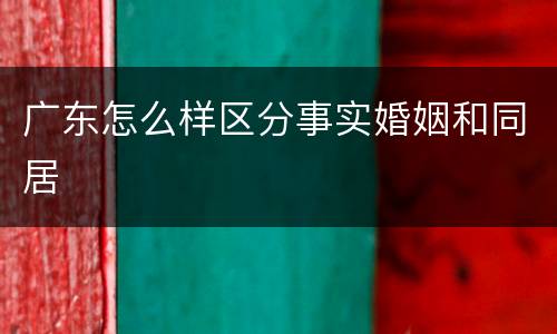 广东怎么样区分事实婚姻和同居