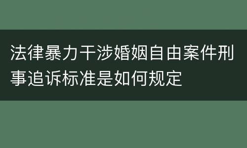 法律暴力干涉婚姻自由案件刑事追诉标准是如何规定