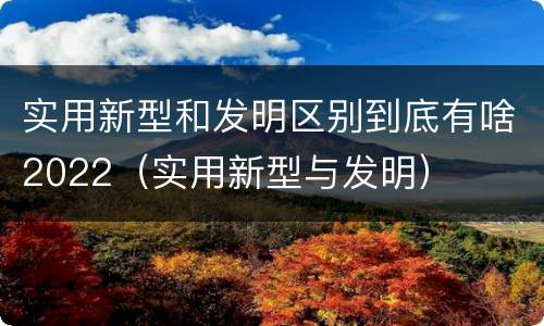 实用新型和发明区别到底有啥2022（实用新型与发明）