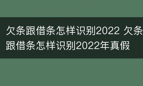 欠条跟借条怎样识别2022 欠条跟借条怎样识别2022年真假