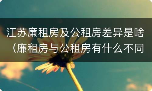 江苏廉租房及公租房差异是啥（廉租房与公租房有什么不同）