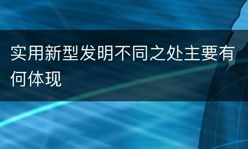 实用新型发明不同之处主要有何体现