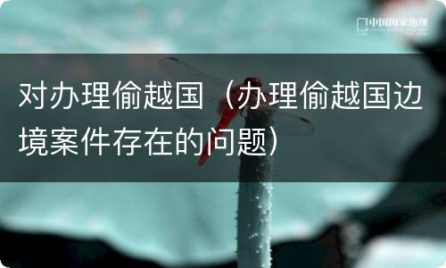 对办理偷越国（办理偷越国边境案件存在的问题）