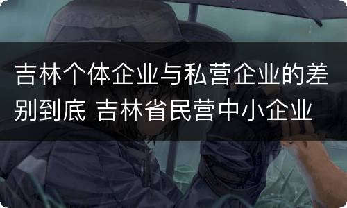吉林个体企业与私营企业的差别到底 吉林省民营中小企业
