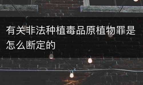 有关非法种植毒品原植物罪是怎么断定的
