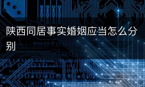 陕西同居事实婚姻应当怎么分别
