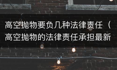 高空抛物要负几种法律责任（高空抛物的法律责任承担最新法律）