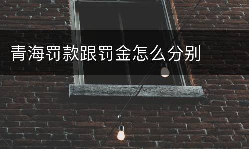 青海罚款跟罚金怎么分别