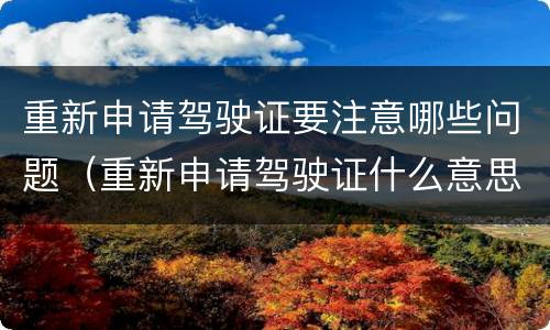 重新申请驾驶证要注意哪些问题（重新申请驾驶证什么意思）
