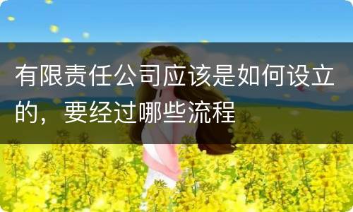 有限责任公司应该是如何设立的，要经过哪些流程